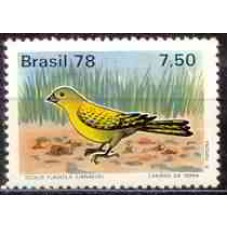 SB1036M-SELO PROTEÇÃO À FAUNA - PÁSSAROS BRASILEIROS, SICALIS FLAVEOLA - 1978 - MINT