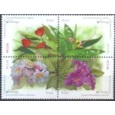 SB3708MQ-QUADRA FLORES DA MATA ATLÂNTICA - GOMADA COM AROMA - 17 - MINT