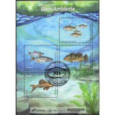 BC0242-BLOCO UPAEP - MEIO AMBIENTE - 2024 - CBC RECIFE